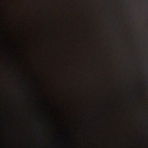 Meet your Posher, Brady